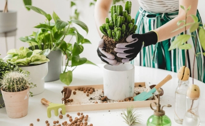 Neem Plant Protection